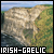 irish gaelic language